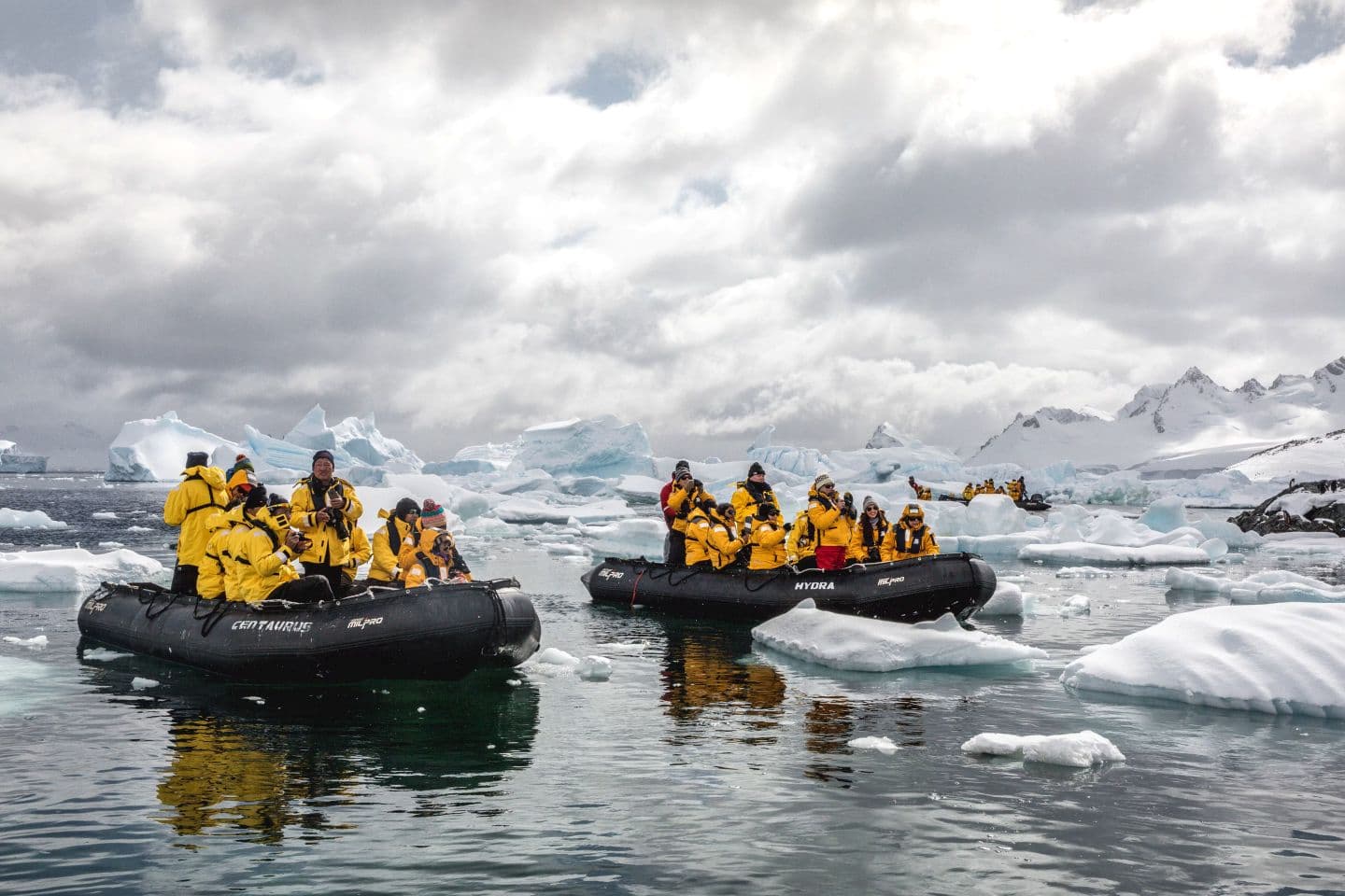 Quark Expeditions Antarctica cruise | Dubai Bookings