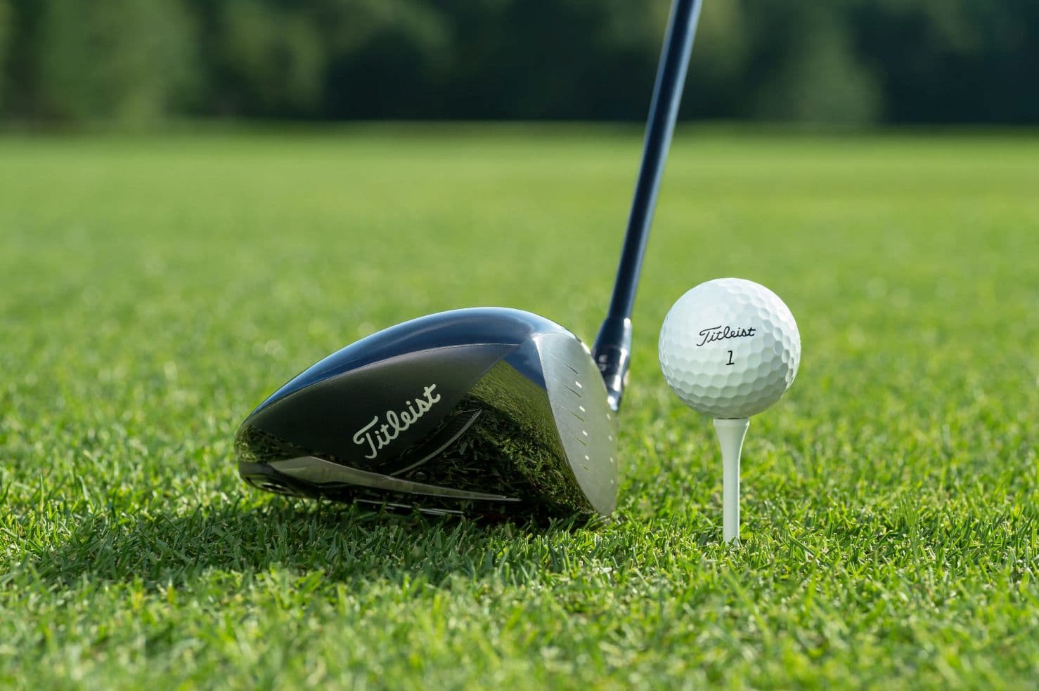 France Cruise & Golf Trip : Nice, Cannes & St. Tropez