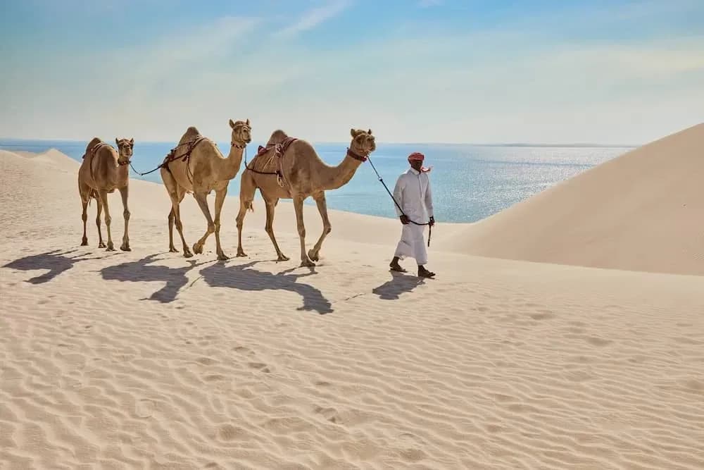 Pearls of the Gulf Cruise from Doha