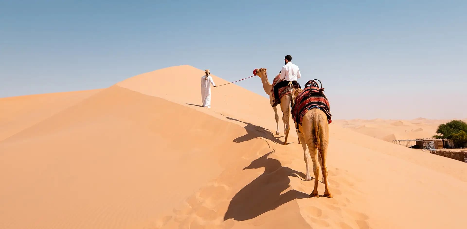 Arabian Gulf Cruise from Dubai