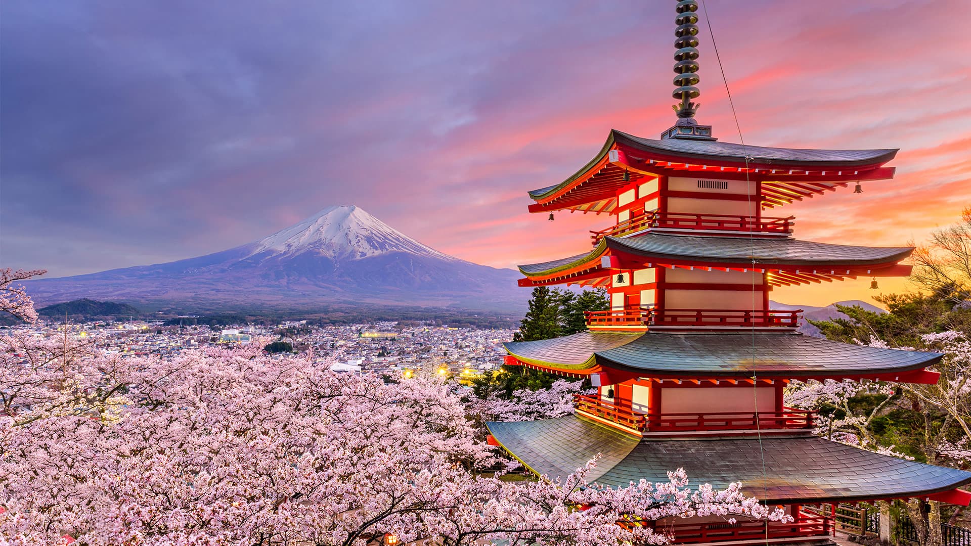 Tokyo Horizons: A 10-Night Voyage of Japan's Finest