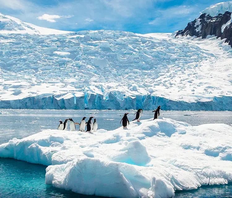 Visit Antartica, extra ordinary journey, bucket list travel