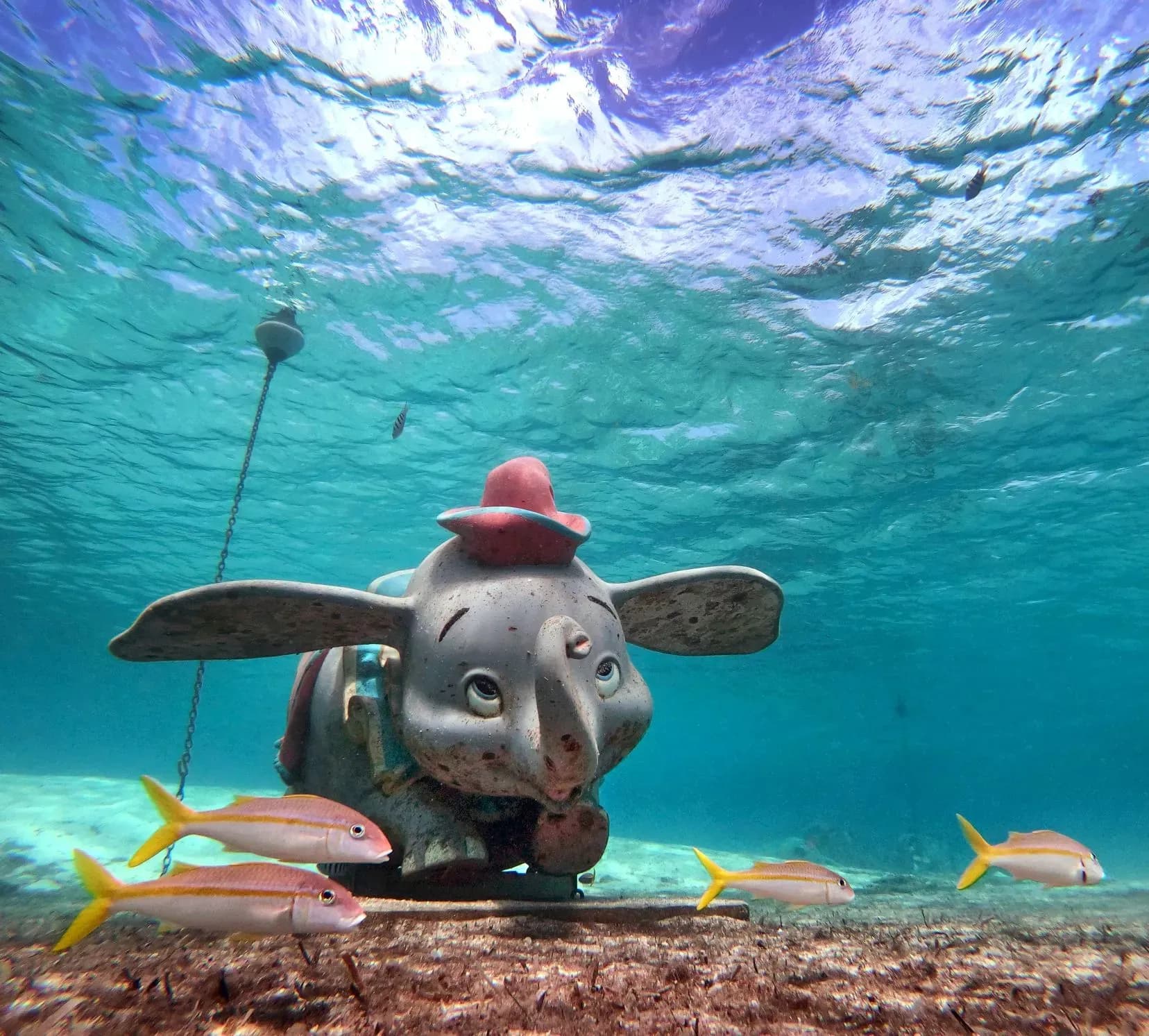 Disney castaway Cay Bahamas