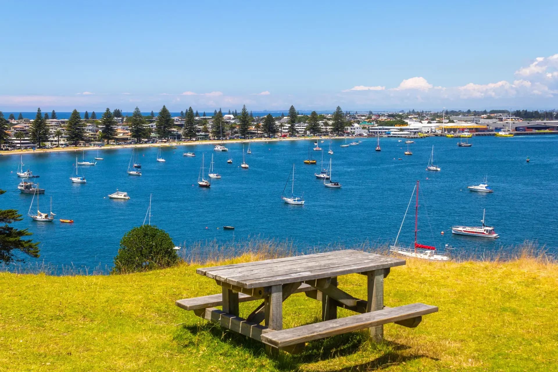 Tauranga, New Zealand