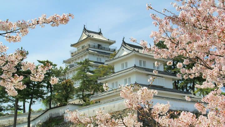 9 Nights Best Of Japan Holiday Cruise
