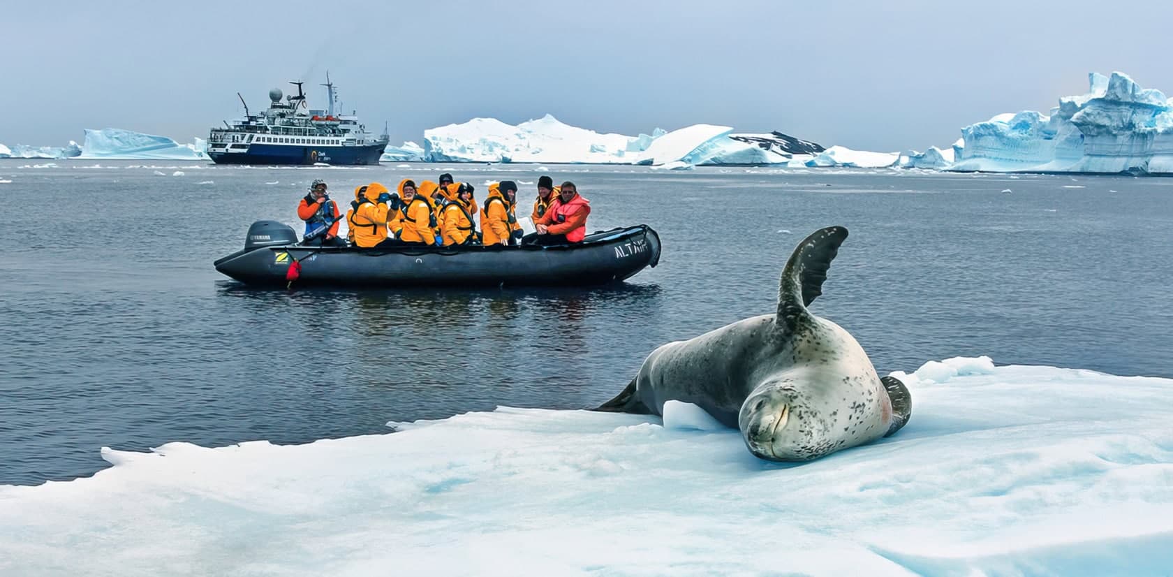 Quack expedition antarctica cruise