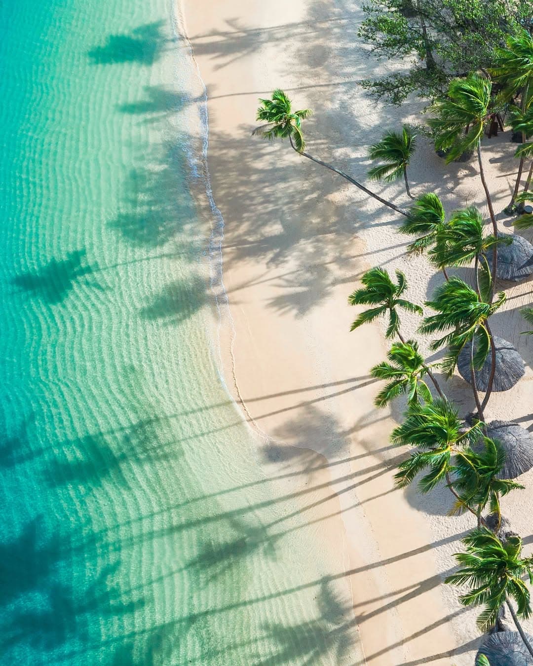 caribbean cruise, bahamas cruise, cruise to Caribbean , Cruise to jamaica