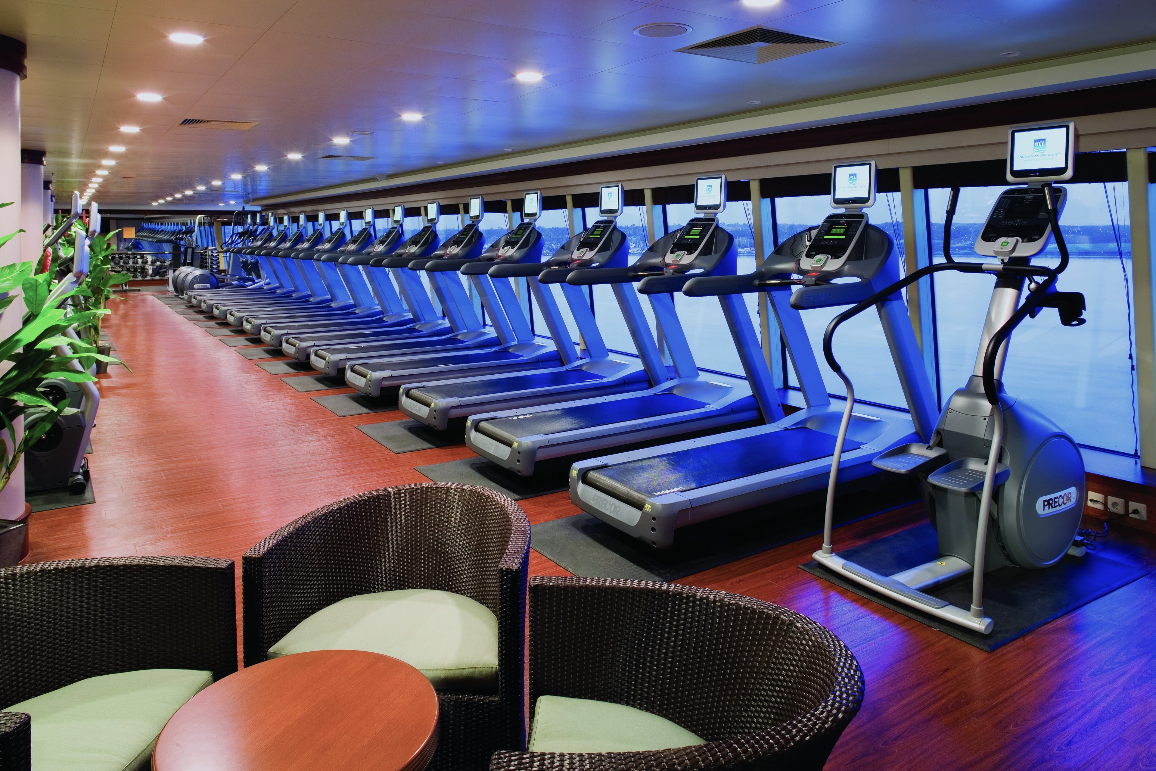 Norwegian Pearl Facilities