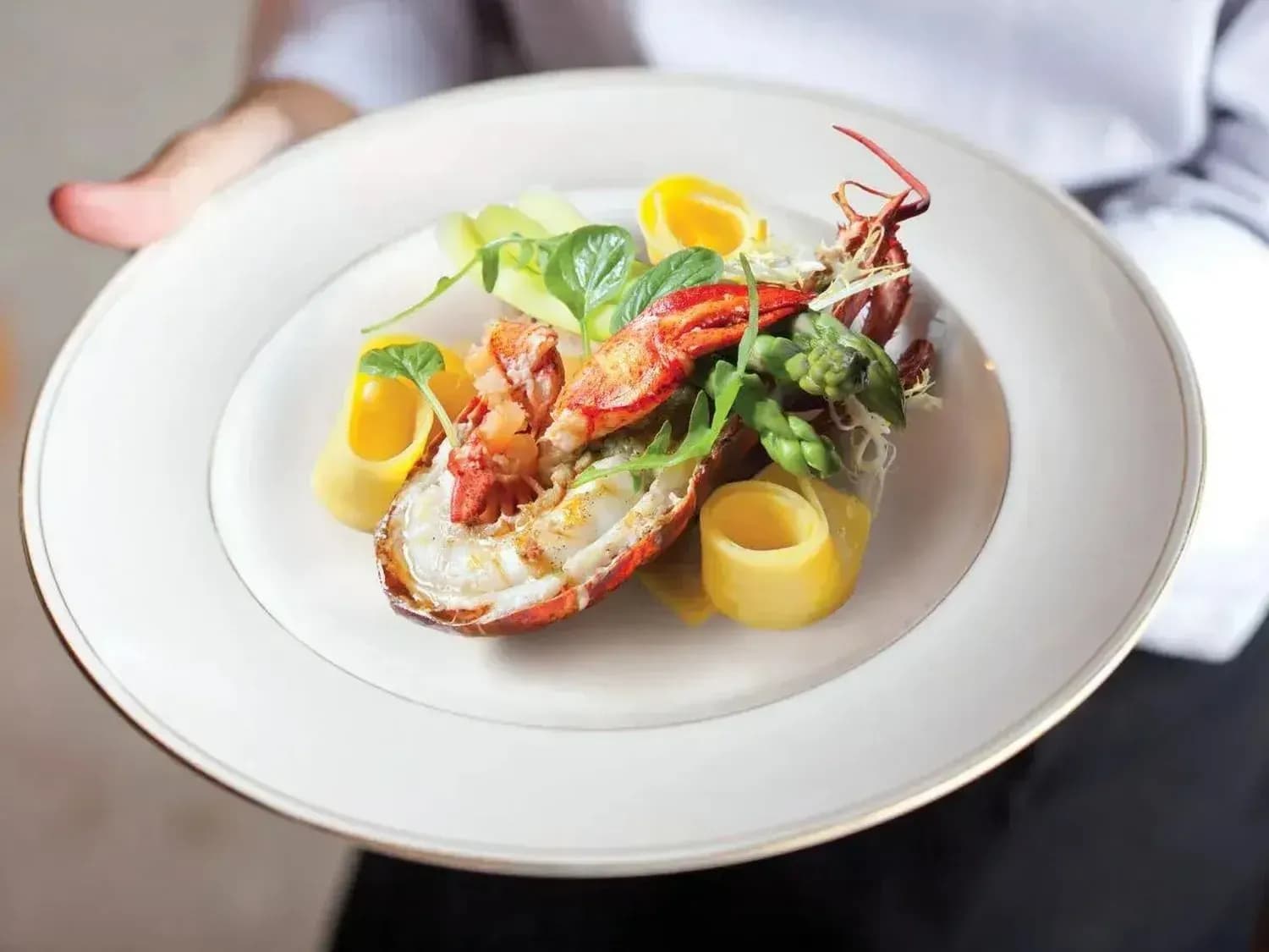 Sumptuous Lobster Dish Just One The Highlights Onboard
