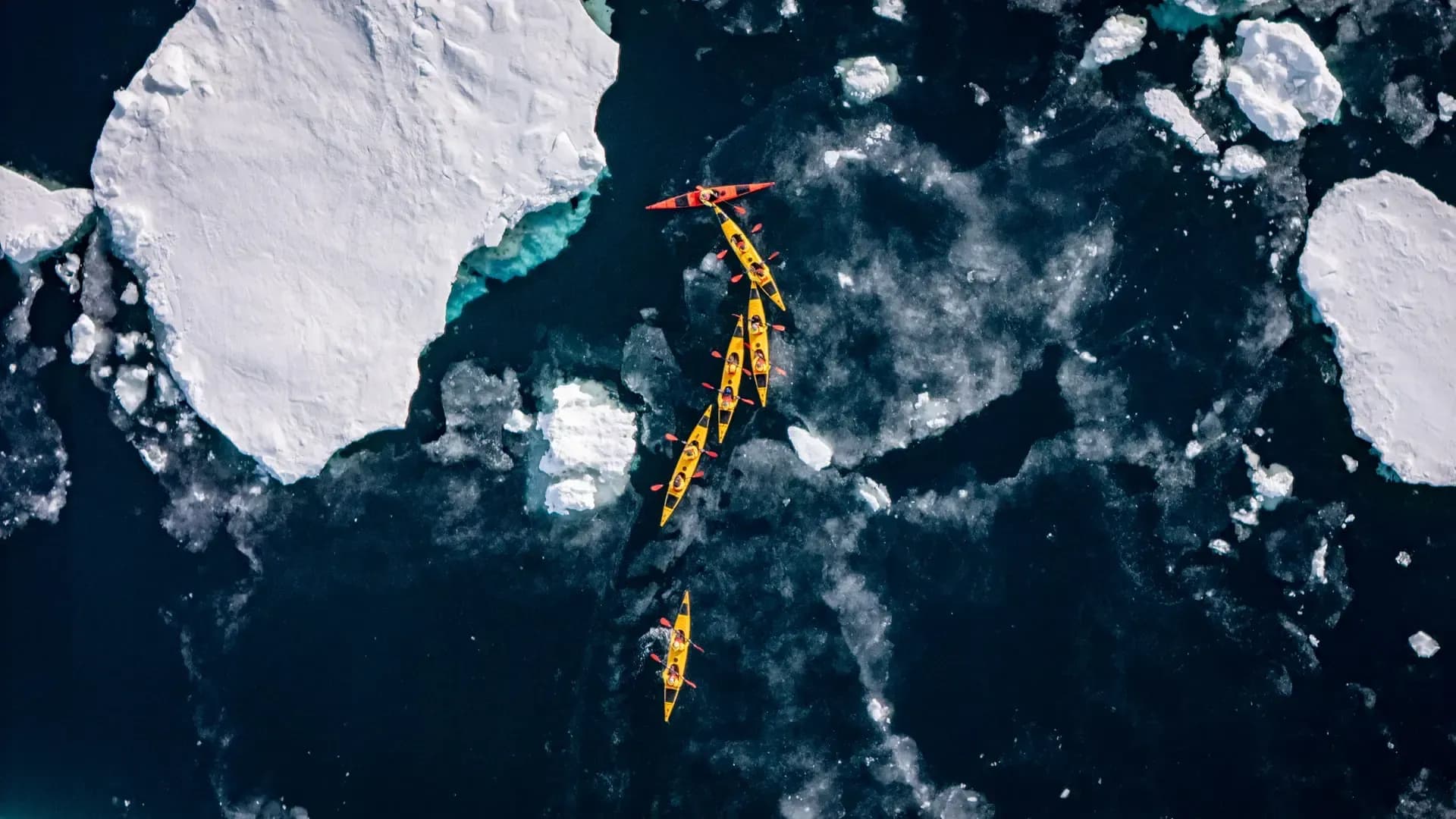 Swan Hellenic, Antartica - Kayak