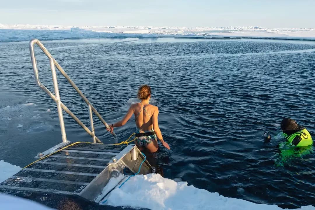 Ponant Antarctica Polar plunge - antarctica cruise on a small ship